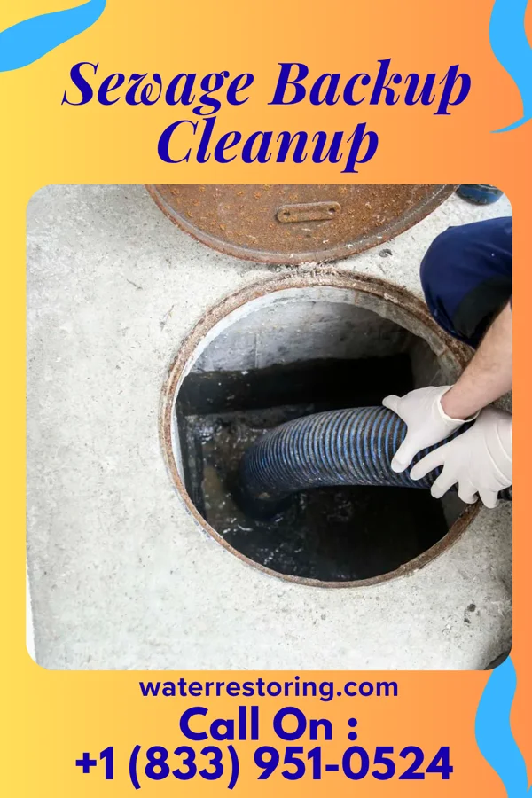 Sewage Backup Cleanup in Little York, IN