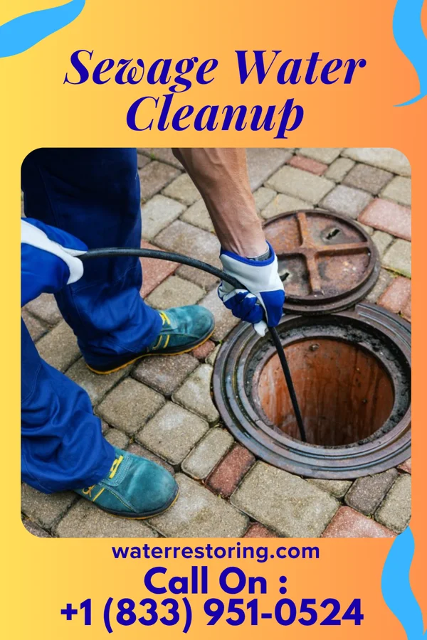 Sewage Water Cleanup in Little York, IN