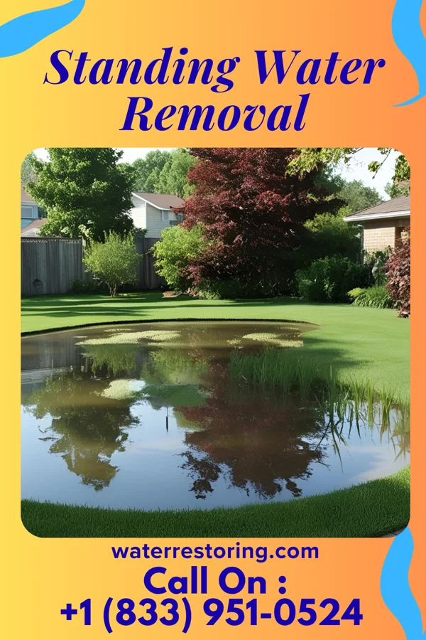 Standing Water Removal in Little York, IN